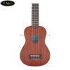 dan-ukulele-lanikai-soprano-lu-21 (4)