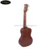 dan-ukulele-pukanala-concert-pu-13cn (2)