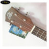 dan-ukulele-pukanala-concert-pu-15kc (3)