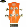 dan-ukulele-pukanala-concert-pu-cem (3)
