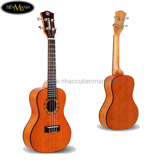 dan-ukulele-pukanala-concert-pu-nvc (1)
