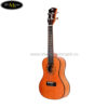 dan-ukulele-pukanala-concert-pu-nvc (4)