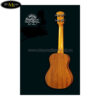 dan-ukulele-pukanala-soprano-pu-nvs (5)
