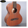dan-ukulele-pukanala-tenor-pu-smht (3)