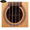 dan-ukulele-viet-nam-swallow-concert-ucma1 (2)