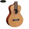 dan-ukulele-viet-nam-swallow-concert-ucma1 (4)