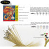 day-dan-acoustic-guitar-alice-a406 (2)