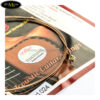 day-dan-acoustic-guitar-alice-aw433 (4)