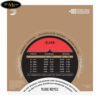 day-dan-guitar-classic-daddario-ej49 (3)