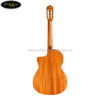go-dan-guitar-classic-cordoba-c5-ce-sp (2)