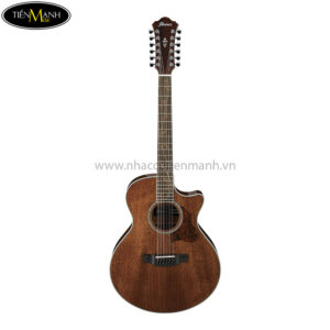 Ibanez AE2412-NT 12-String Acoustic Guitar, Natural High Gloss