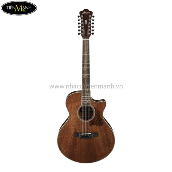 ibanez-ae2412-nt-12-string-acoustic-guitar-natural-high-gloss (1)