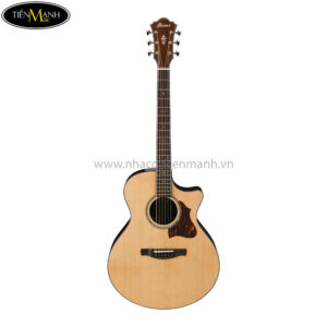 Ibanez AE900-NT Acoustic Guitar w/Case and Preamp