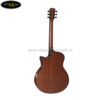 mat-sau-dan-guitar-acoustic-diana-dn-ac