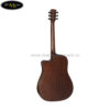 mat-sau-dan-guitar-acoustic-diana-dn-dt