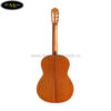 dan-guitar-classic-cordoba-c5-sp-3