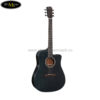 mat-truoc-dan-guitar-acoustic-diana-dn-di