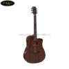 mat-truoc-dan-guitar-acoustic-diana-dn-dt