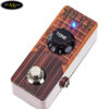 pho-acoustic-guitar-xvive-mike-nguon-chinh-hang-di-kem-ban-dap-fuzz-pedals-effects (2)