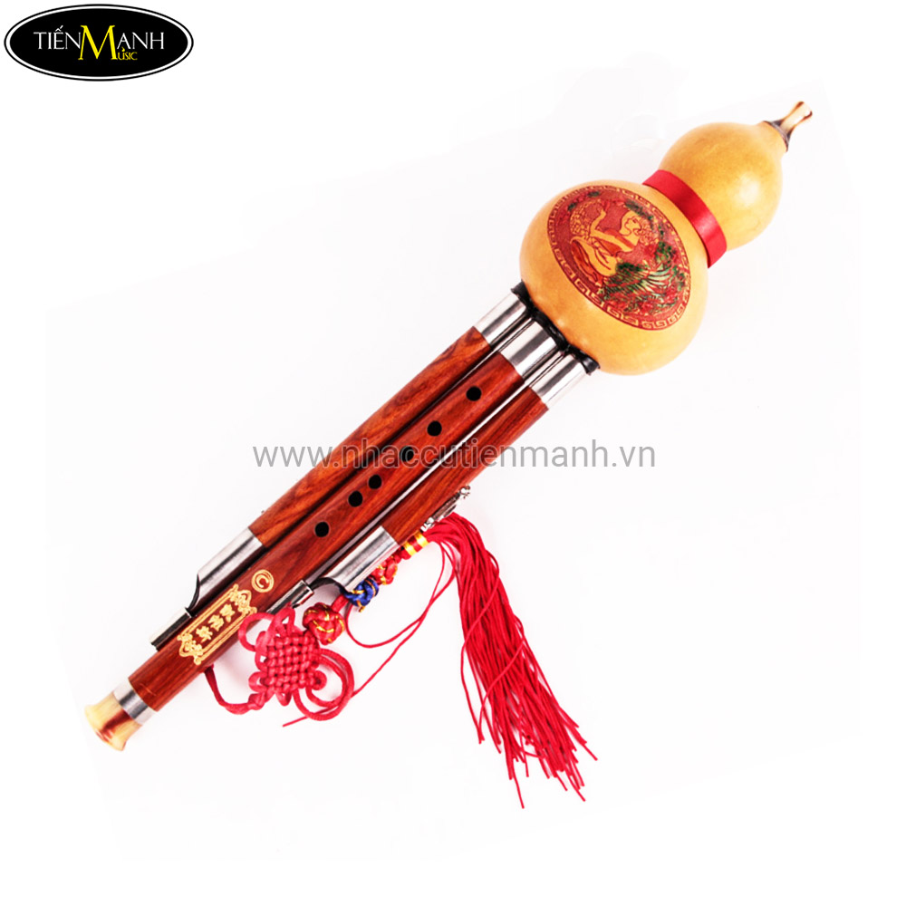 Sáo Bầu - Sáo Mèo