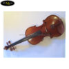 scott-cao-violin-syv150 (4)