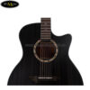 thung-dan-dan-guitar-acoustic-diana-dn-ab