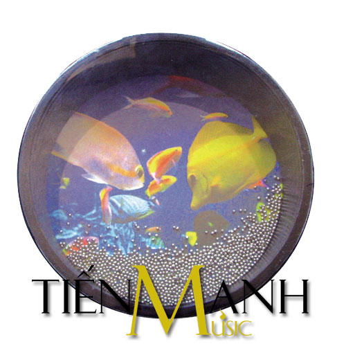 trong-bien-chuyen-nghiep-hg10agm Trống biển chuyên nghiệp HG10A