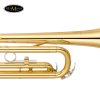 Ken-Trumpet-Yamaha-YTR-2330-655.j