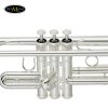 Kèn Trumpet Yamaha YTR-2330