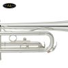 Kèn Trumpet Yamaha YTR-2330
