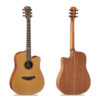 dan-famosa-acoustic-guitar-fd425c