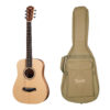 dan-guitar-acoustic-baby-taylor-bt1