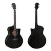 dan-guitar-acoustic-diana-dn-ab