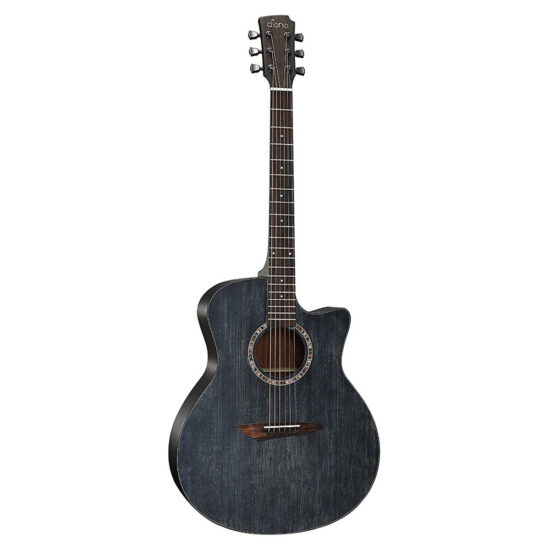 dan-guitar-acoustic-diana-dn-ai