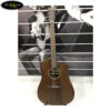 dan-guitar-acoustic-diana-dn-at (1)