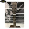 dan-guitar-acoustic-diana-dn-at (2)