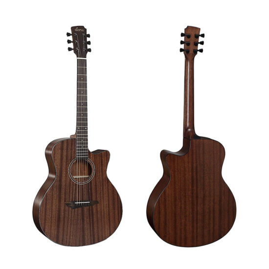 dan-guitar-acoustic-diana-dn-at