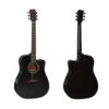 dan-guitar-acoustic-diana-dn-db