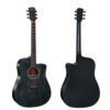 dan-guitar-acoustic-diana-dn-di