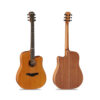 dan-guitar-acoustic-famosa-fd425cu