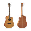 dan-guitar-acoustic-famosa-fd425cue