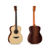 dan-guitar-acoustic-famosa-ff685s