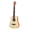 dan-guitar-acoustic-taylor-baby-w-es-b