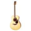 dan-guitar-acoustic-yamaha-ls6-22