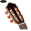 dan-guitar-classic-famoasa-fc-30c (3)
