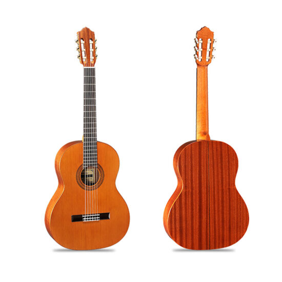 dan-guitar-classic-famosa-fc-20c-636