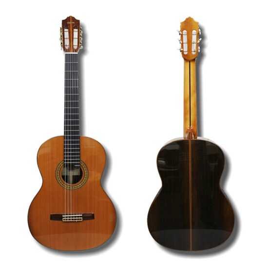 dan-guitar-classic-famosa-fc-40c