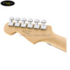 dan-guitar-dien-fender-player-strat-fr-hss-mn (3)