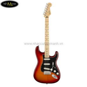 Đàn Guitar Điện Fender Player Strat PLS TOP MN ACB