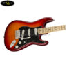dan-guitar-dien-fender-player-strat-pls-top-mn-acb (4)